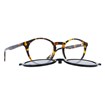 Óculos com Clipon - INVU - M4215 B 49 - TARTARUGA