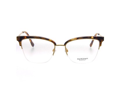 Óculos de Grau - ANA HICKMANN - AH1378 G21 53 - DEMI