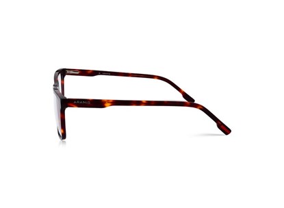 Óculos de Grau - ARAMIS - VAR074 C0354 - MARROM