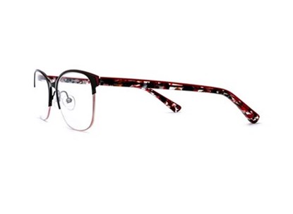 Óculos de Grau - ETNIA BARCELONA - SKAGEN BETA BKRD 53 - PRETO