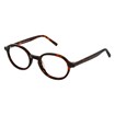 Óculos de Grau - INVU - B4146 C 48 - TARTARUGA