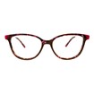 Óculos de Grau - LE CHOIX - FP1990 C6 53 - DEMI