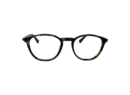 Óculos de Grau - POLO CLUB - MC3843  -  - TARTARUGA