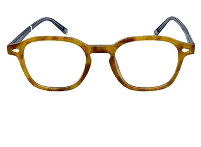 Óculos de Grau - POLO CLUB - ZH2307 C3 48 - DEMI