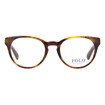 Óculos de Grau - POLO RALPH LAUREN - PH2164 5017 49 - TARTARUGA